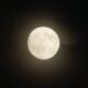 VOLLMOND-ZAUBER über dem Kaiserpalast! Japans Kaiserhaus teilt Traum-Foto des Herbstmondes