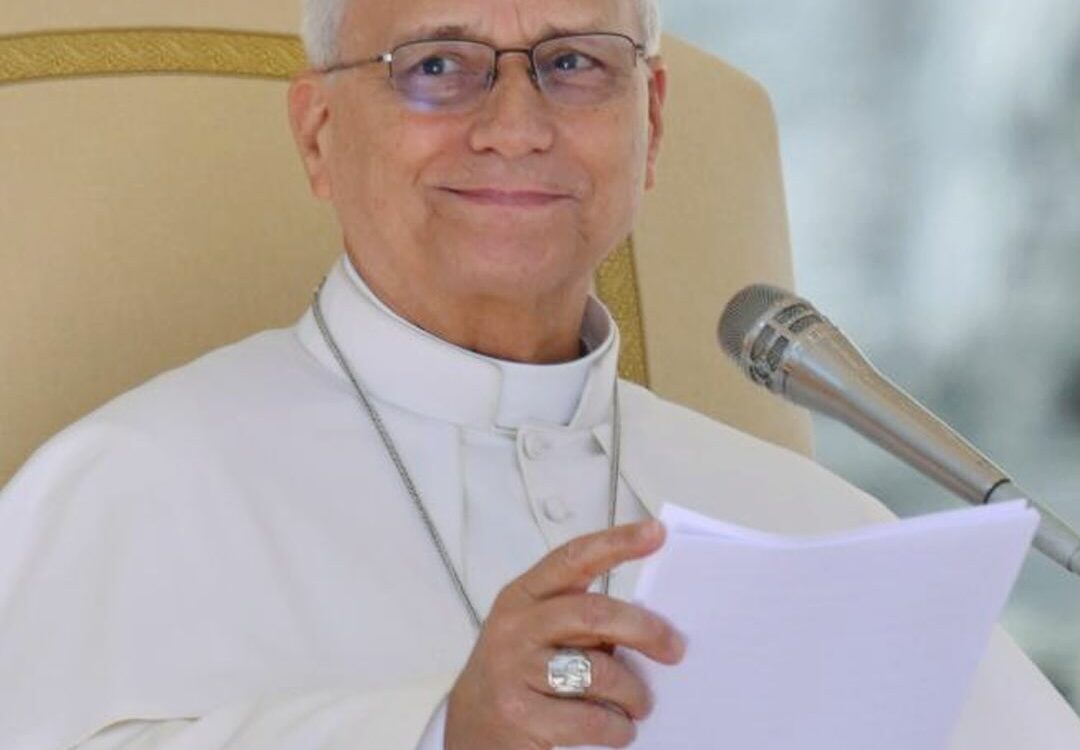 Papst Leo XIV. sitzt mit Brille in weißer Soutane bei der Generalaudienz und liest aus einem Dokument - Photo: @pontifex